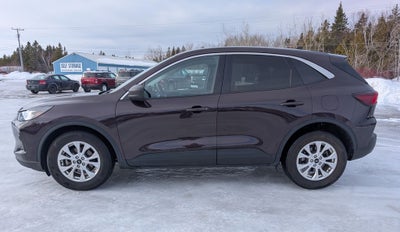 2023 Ford Escape Active