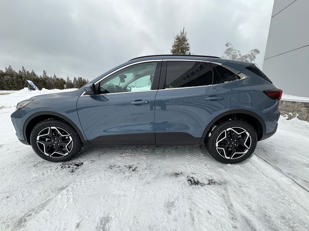 2026 Ford Escape Platinum