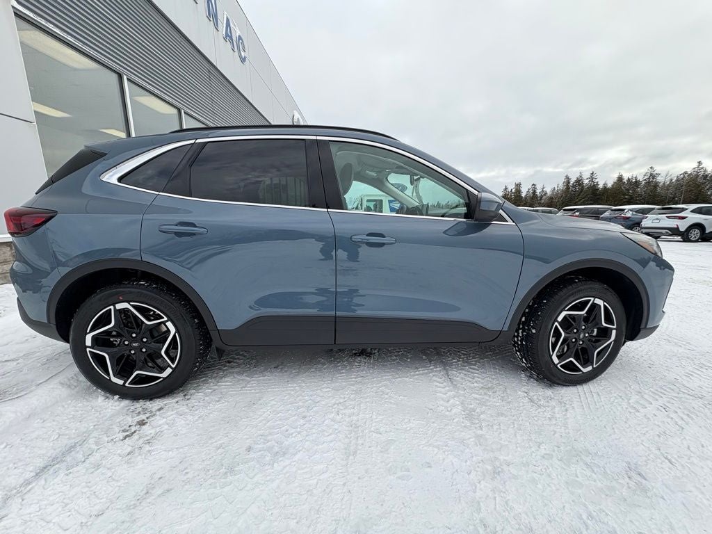 2026 Ford Escape Platinum